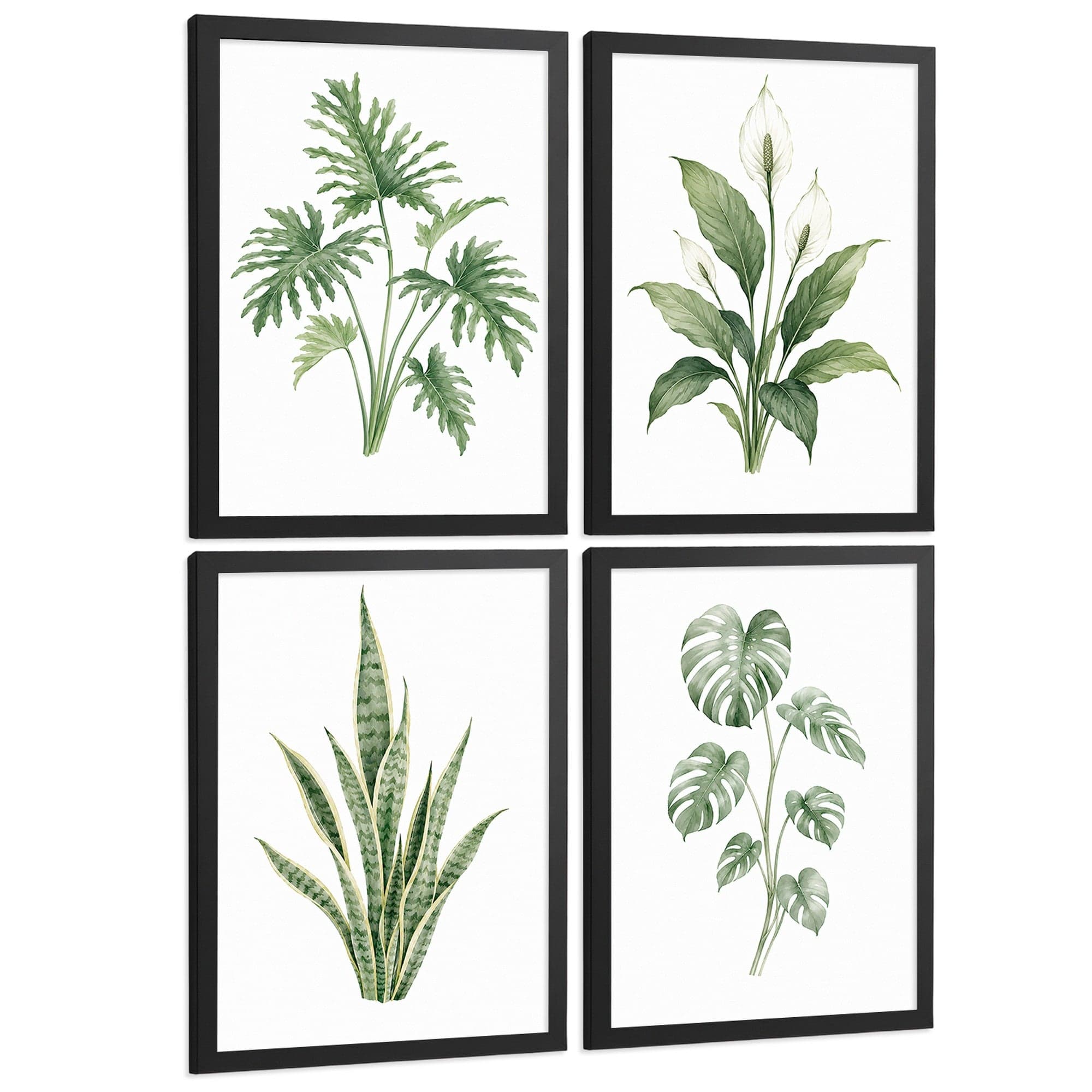 Posters Tropicales con Monstera, Sansevieria y Lirio de la Paz