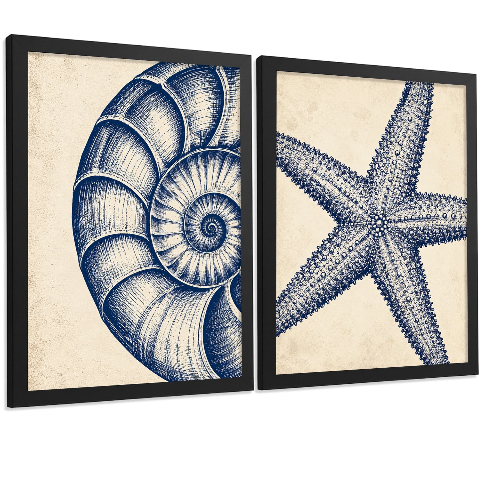Posters de Azul Costero con Arte de Nautilus y Estrella de Mar